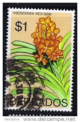 BARBADOS  1976  Native Flowers $1 Rare Watermark Sc Wm 373  Sc 408b - Barbados (...-1966)