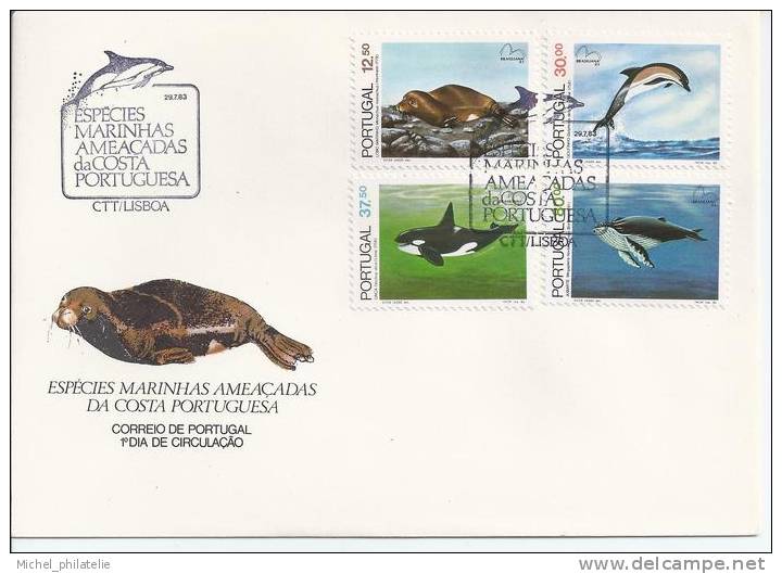 Carte Maximum, Animaux Marins Baleines-dauphins - Baleines