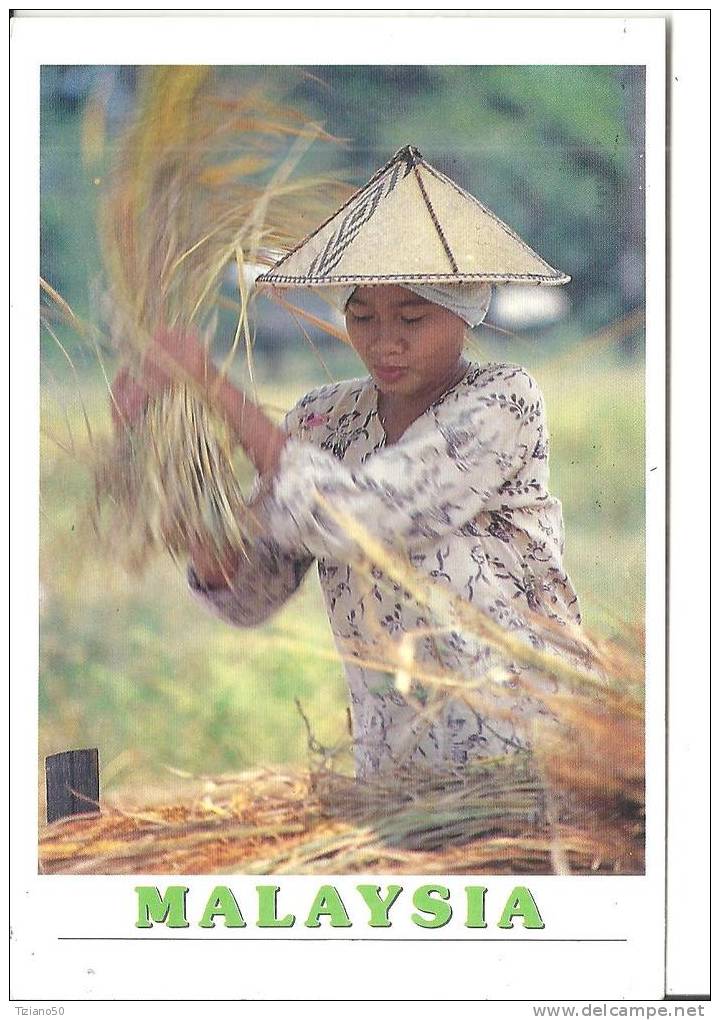 MALAYSIA  SABAHAN GIRL INTRADITIONAL ATTIRE THESHING RICE AT HARVEST TIME-G141-FG - Malaysia