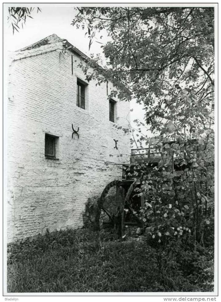 BRAINE-l´ALLEUD (Brabant Wallon) - Moulin De Mont-Saint-Pont  En Gros Plan (1977) -  Photo Véritable 18x24 Cm. - Lieux