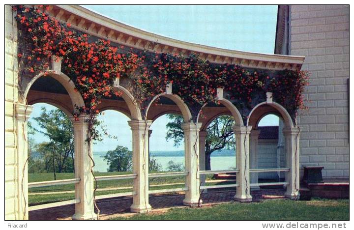 17295   Stati  Uniti,  Mount Vernon Mansion,  Lonicera  Sempervirens,  NV - Sonstige & Ohne Zuordnung