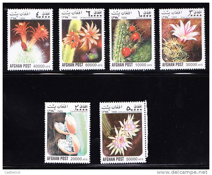 T)1999,AFGHANISTAN,SET(6),CACTI,MNH - Cactusses