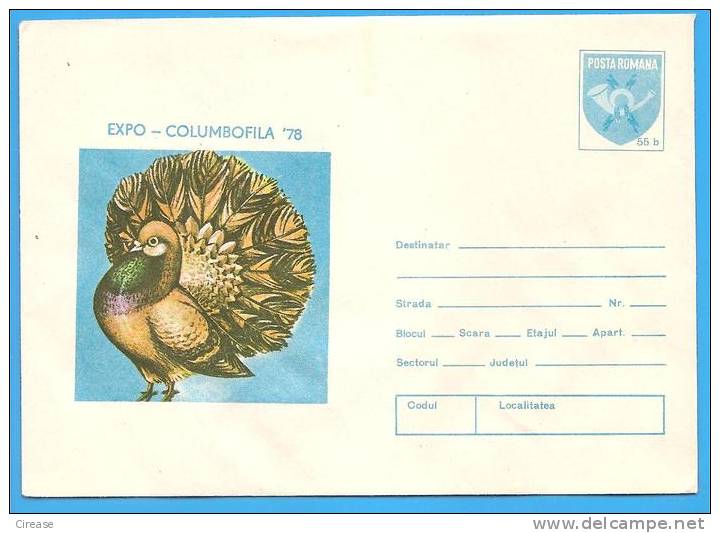 Pigeons. Dove ROMANIA Postal Stationery Cover 1978 - Pigeons & Columbiformes