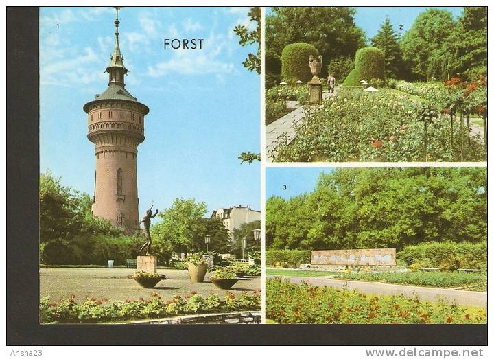 Germany, Forst - Wasserturm - Rosengarten - Forst