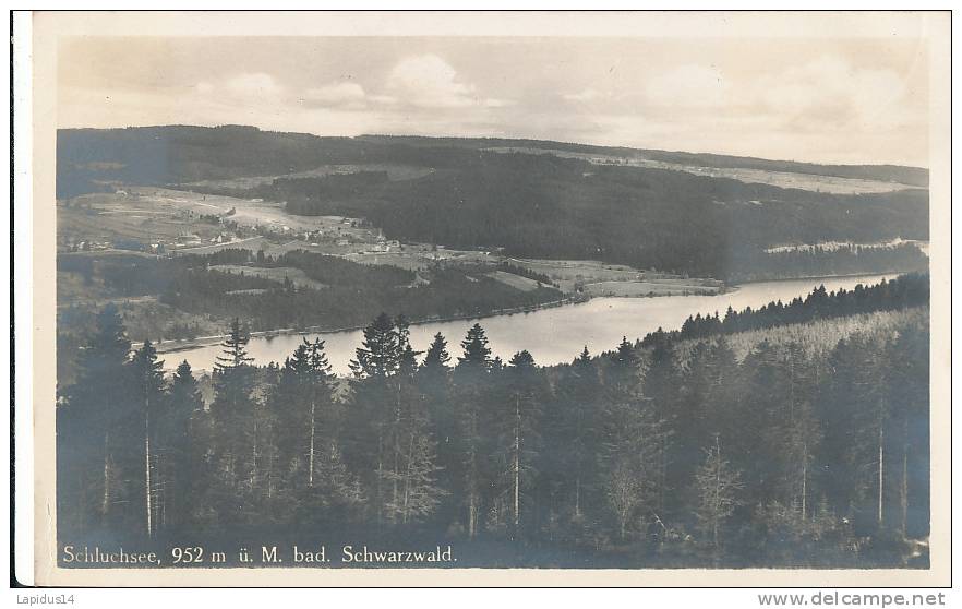 ZQ 847/ C P A  ALLEMAGNE-  Schluchsee  Bad Schwarrzwald - Schluchsee