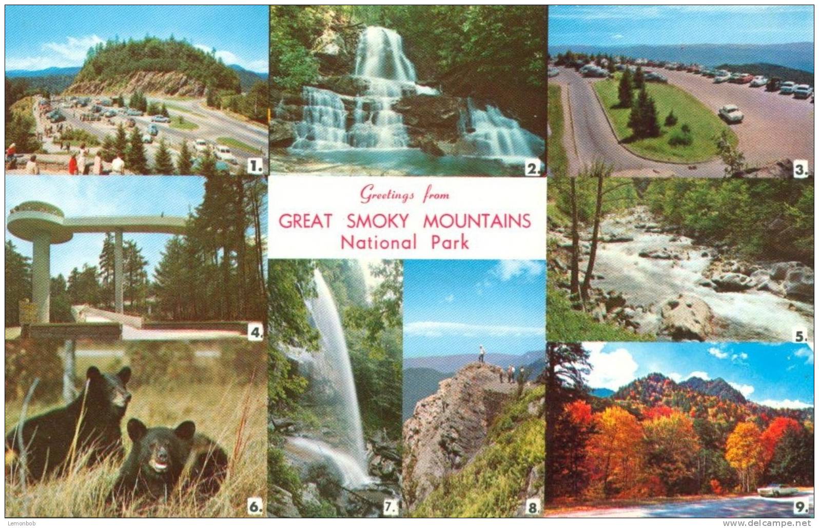 USA – United States – Greetings From Great Smoky Mountains National Park, Tennessee 1960s Unused Postcard [P4358] - Smokey Mountains