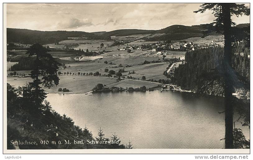 ZQ 848/ C P A  ALLEMAGNE-  Schluchsee  Bad Schwarrzwald - Schluchsee