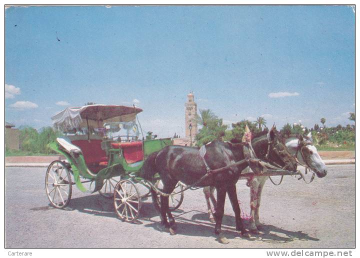 AFRIQUE,AFRICA,AFRIKA,MAGHREB,MAROC,MOROCCO,MARRAKECH,MURRAKUSH,TAXI Du Passé,attelage Avec Chevaux,carrosse,rare - Marrakech