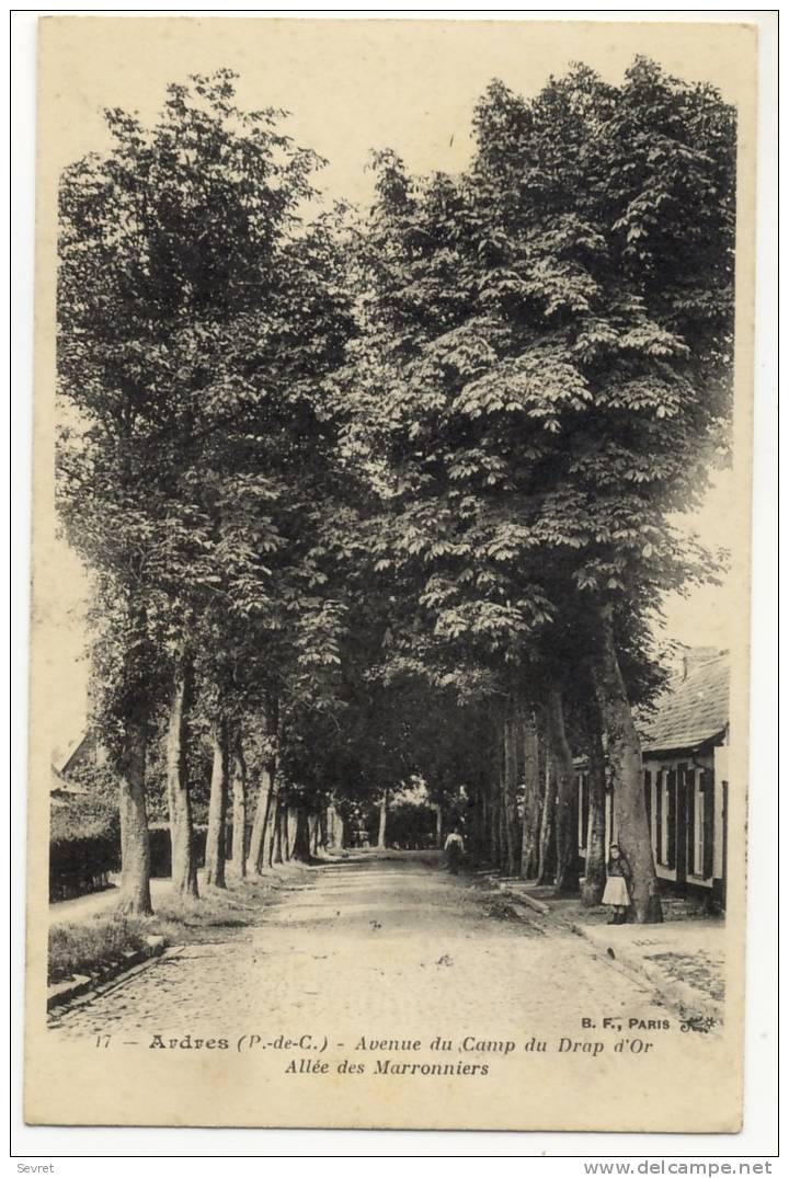 ARDRES   - Avenue Du Camp Au Drap D'Or. Allée Des Maronniers. - Ardres