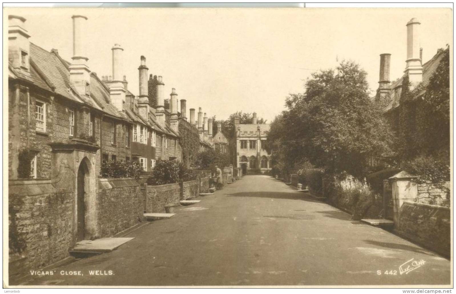 Britain – United Kingdom – Vicars Close, Wells, Unused Real Photo, RPPC Postcard [P4544] - Wells