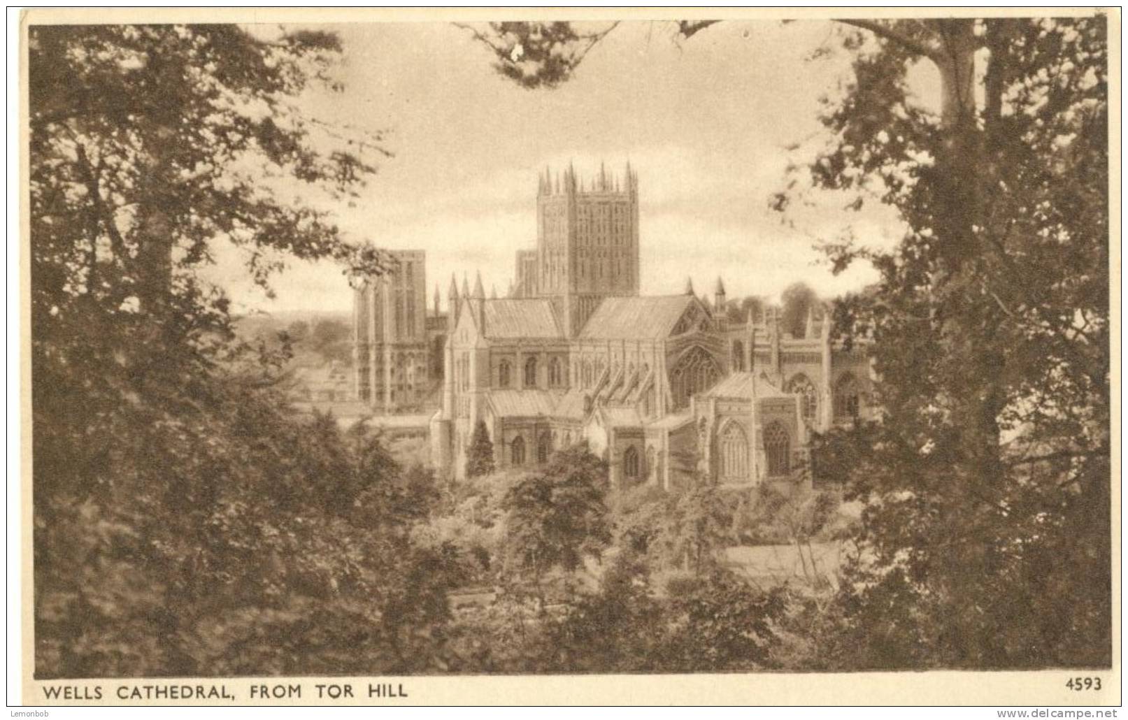 Britain – United Kingdom – Wells Cathedral From Tor Hill, Early 1900s Unused Postcard [P4550] - Wells