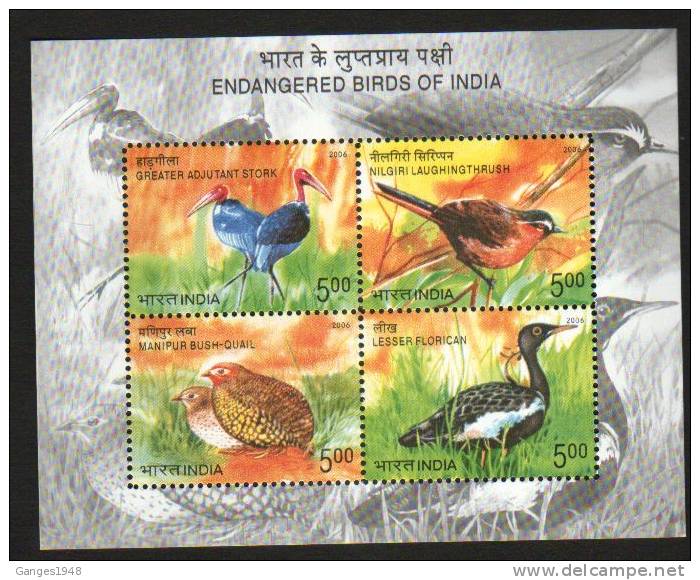 2006 Endangered Birds Bloc / Miniature Sheet   # 00867s  India Inde Indien - Blocs-feuillets