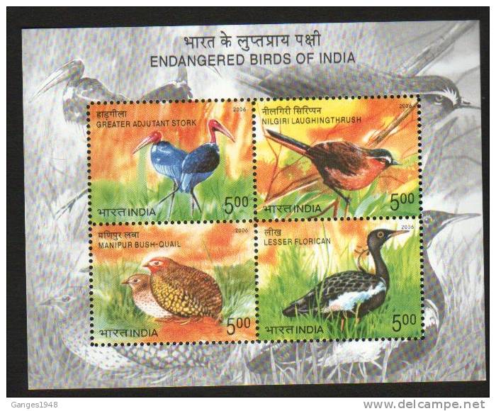 2006 Endangered Birds Bloc / Miniature Sheet   # 00867s  India Inde Indien - Blocks & Sheetlets