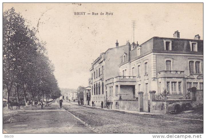 BRIEY.  _  Rue De Metz. Animée. Arbres Chaulés Avec Cheval Et Son Collier Attaché, Un Autre Est Conduit. Pont Au Fond Ga - Briey