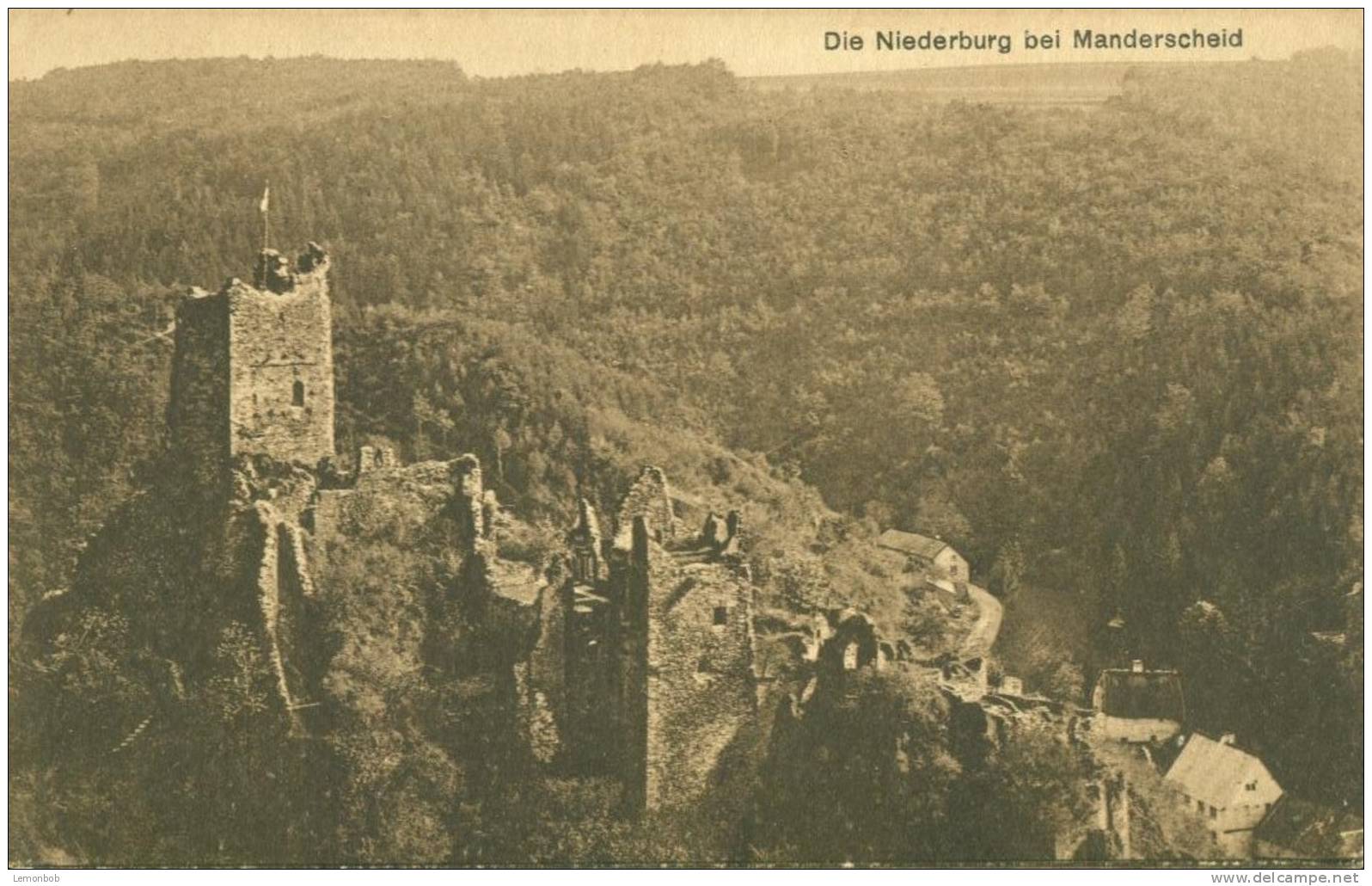 Germany – Die Niederburg Bei Manderscheid 1917 Unused Postcard [P4576] - Manderscheid