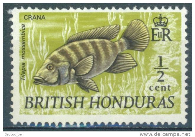 BRITISH HONDURAS - 1971 - MNH/** - TILAPIA - SG 277  Yv 265  Lot 3778 PERF 13 1/2 X 13 YELLOW - British Honduras (...-1970)