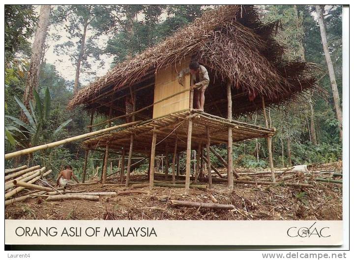 (202) - Malaisie - Malaysia - Orang Asli - Malesia