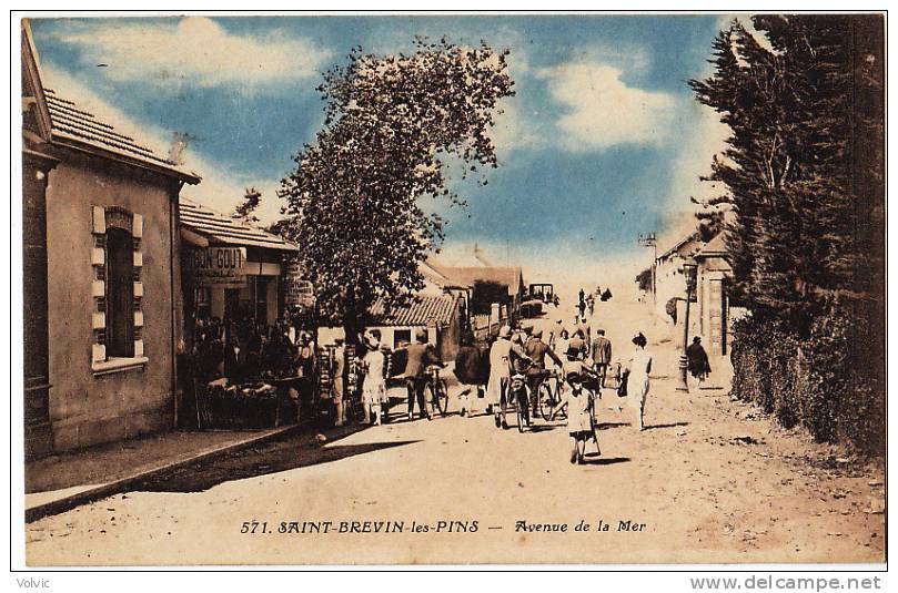 - 44 - SAINT-BREVIN-les-PINS - Avenue De La Mer  - - Saint-Brevin-les-Pins