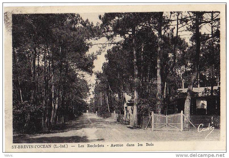 - 44 - SAINT-BREVIN-l´OCEAN - Les Rochelets - Avenue Dans Les Bois - - Saint-Brevin-l'Océan