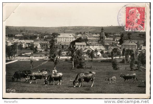 ST-SATURNIN-DE-LENNE. Vue Générale - CPSM - Autres & Non Classés