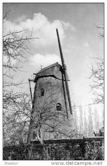 ARDOOIE (W.Vl.) - Molen/moulin - Historische Opname Van De Rijseleindemolen Met Restant Van Roede Voor De Restauratie - Ardooie