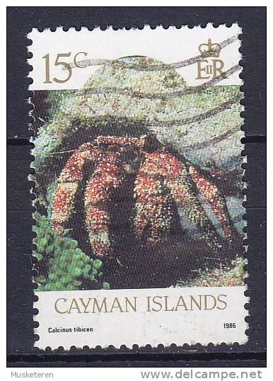 Cayman Islands 1986 Mi. 574     15 C Meerestiere Sea Animal Calcinus Tibicen - Cayman (Isole)