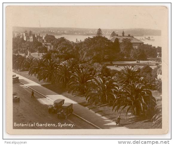 PETITE PHOTO AUSTRALIE - SYDNEY - BOTANICAL GARDENS - Sydney