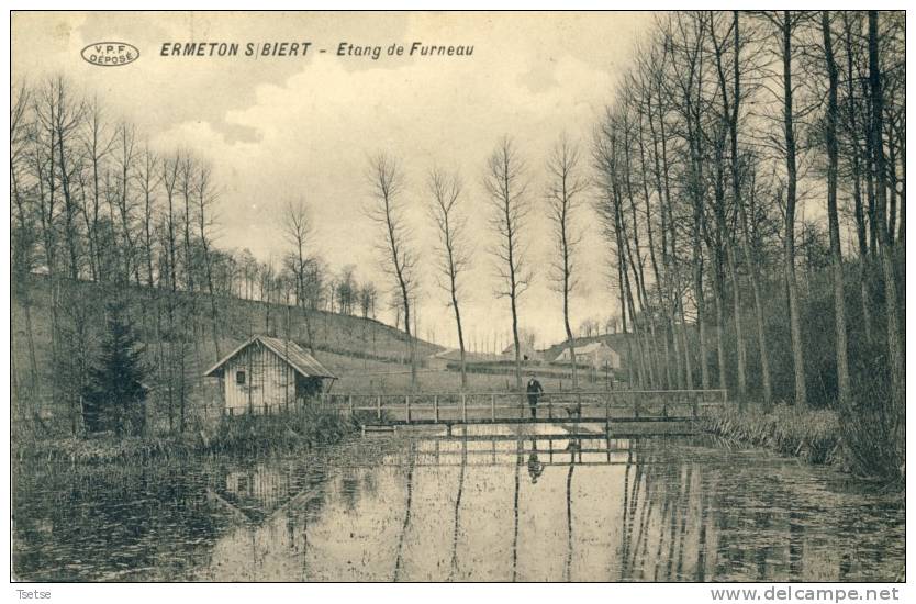 Ermeton S / Biert - Etang Du Furneau ( Voir Verso ) - Mettet