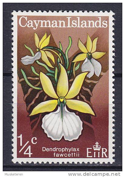 Cayman Islands 1971 Mi. 286    1/4 C Flower Blume Orchidee Orchid MH* - Kaimaninseln