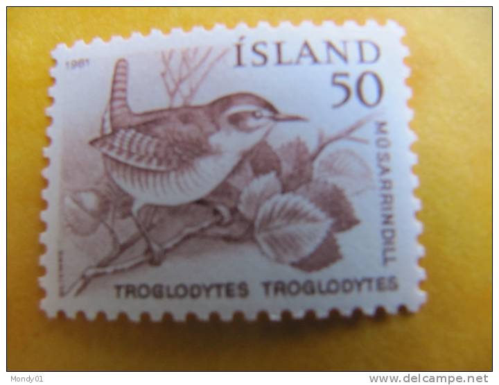 4867 Troglodyte Troglodytes Arctique Arctic Polaire Islande - Mussen