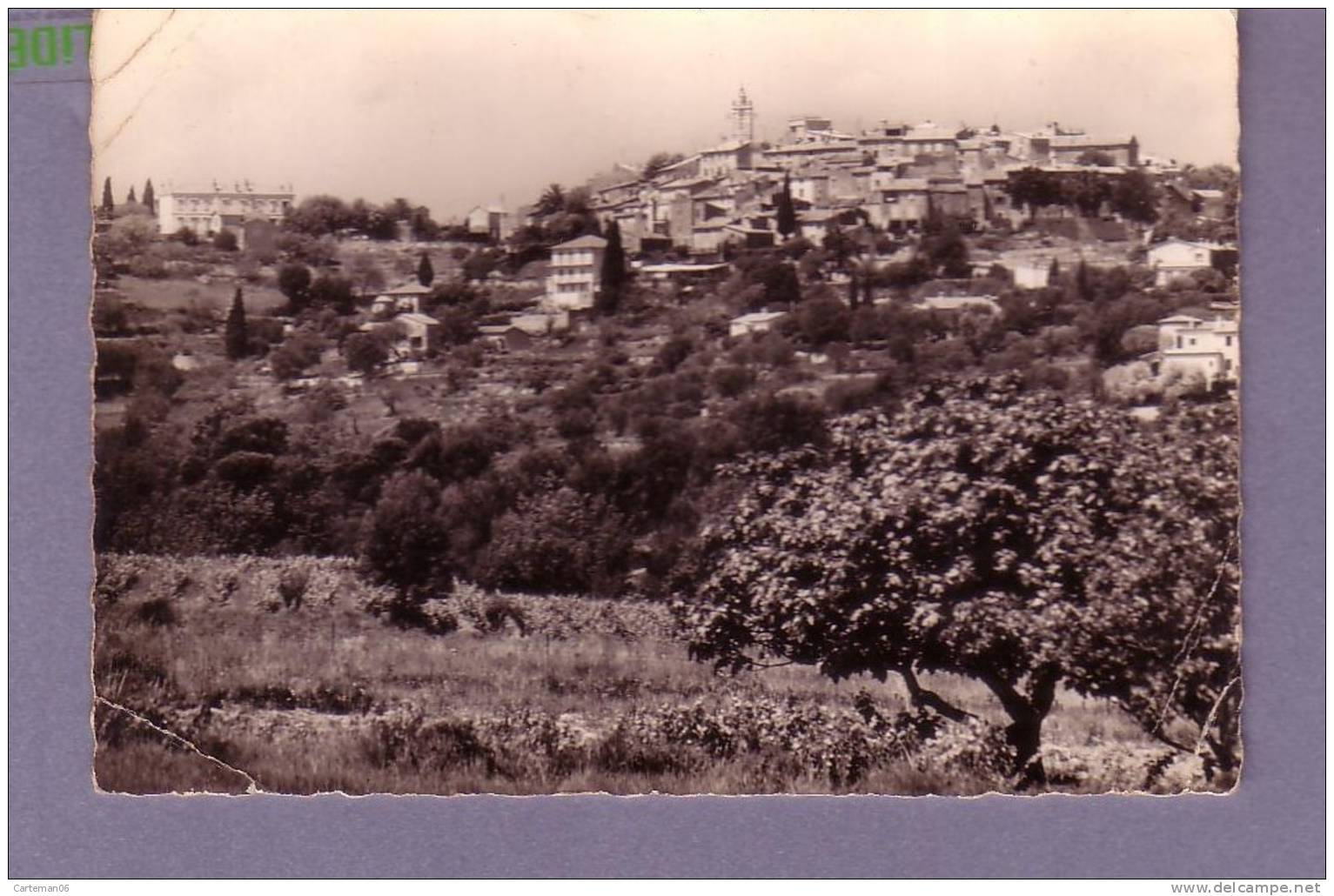 06 - Mougins - Vue Générale - Editeur: SEPT N° 144.7 - Mougins