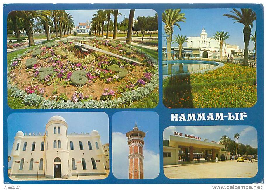 CPM - HAMMAM-LIF  (Ed. Tanit, 482) - Tunisie