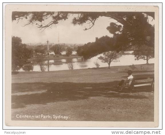 PETITE PHOTO SYDNEY - CENTENNIAL PARK - Sydney