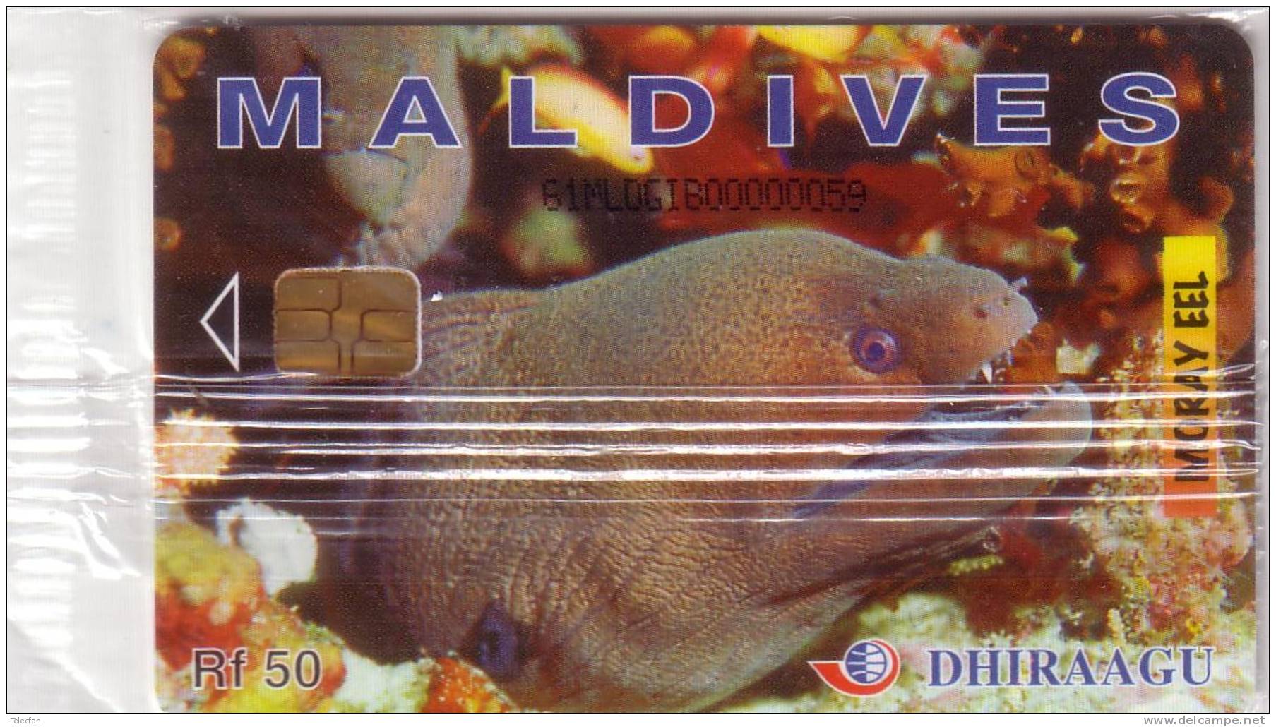 MALDIVES  MORAY EEL MURENE RF50 VERSO VISIT MALDIVES YEAR 1997  MINT IN BLISTER NSB SUPERBE - Maldives