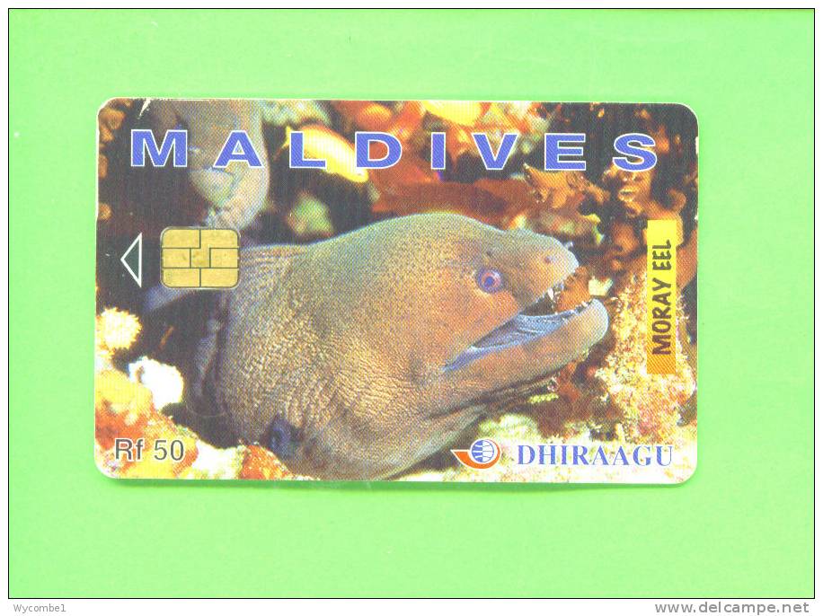 MALDIVES - Chip Phonecard As Scan - Maldive