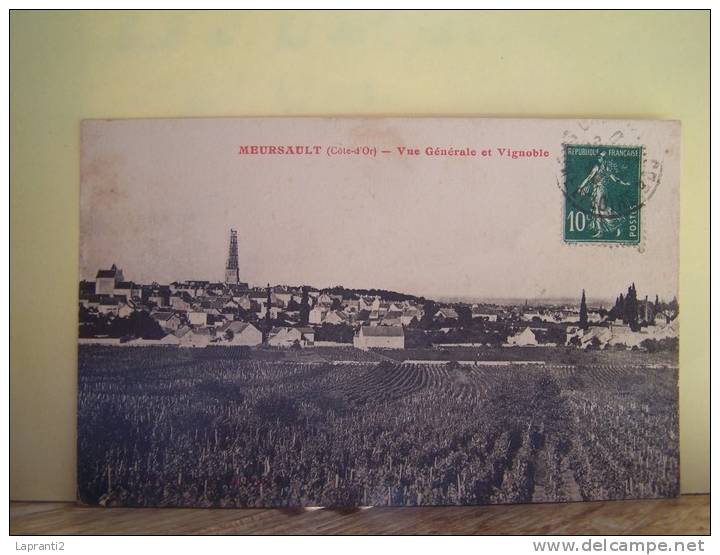 MEURSAULT (COTE D´OR) LA VIGNE. VUE GENERALE ET VIGNOBLE - Meursault