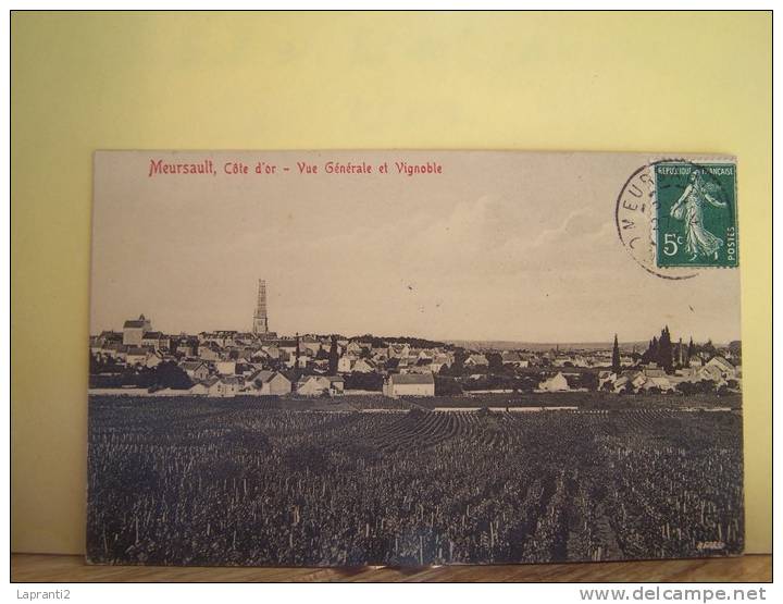 MEURSAULT (COTE D´OR) LA VIGNE. VUE GENERALE ET VIGNOBLE - Meursault