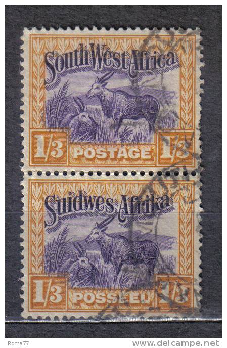 AP434 - SOUTH WEST AFRICA 1931 , Coppia Bilingue Usata - Africa Del Sud-Ovest (1923-1990)