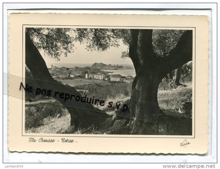 - 74 - ILE-ROUSSE -Vue Générale -Grand Format - Corse, Non écrite, Photographie Véritable, Très Bon état. - Calvi