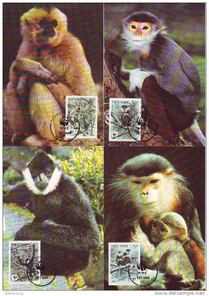 212aa: Maximumkarten- Serie Affen Aus Vietnam, 4 Stück - Affen