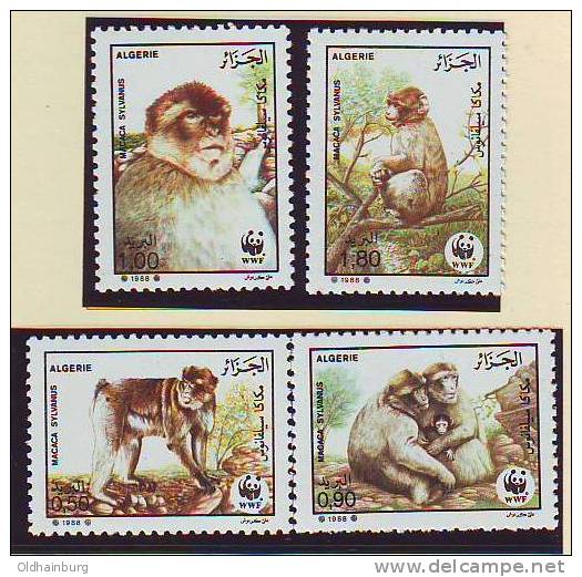 212aj: Postfrischserie Aus Algerien: Affen, 3 Stück - Affen