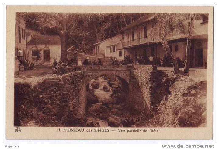 CPA Animée - Ruisseau Des Singes - Vue Partielle De L'hötel - Neuve - Ed. Photo-Africaines - Alger - Medea