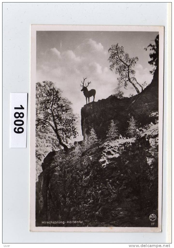 Hirschsprung Hollental - Höllental