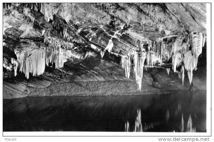 17381    Belgio,    Les  Grottes  De  Han-sur-Lesse,  Les  Draperies,  VG  1957 - Rochefort