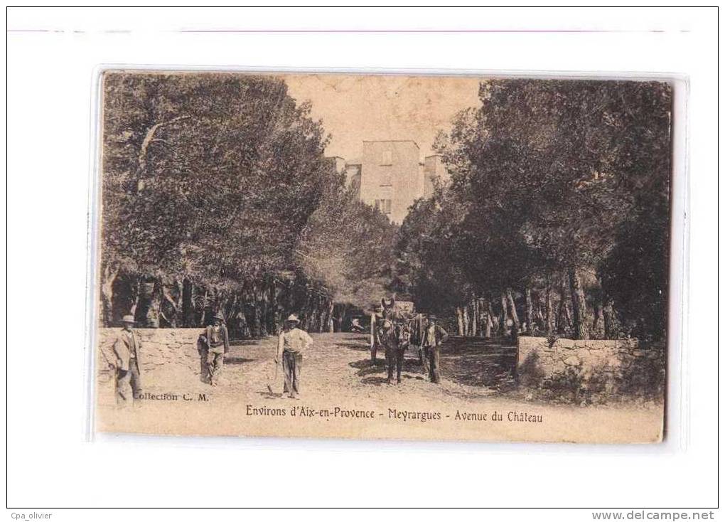 13 MEYRARGUES Avenue Du Chateau, Bien Animée, Ed CM, Environs D'Aix En Provence, 1914 - Meyrargues