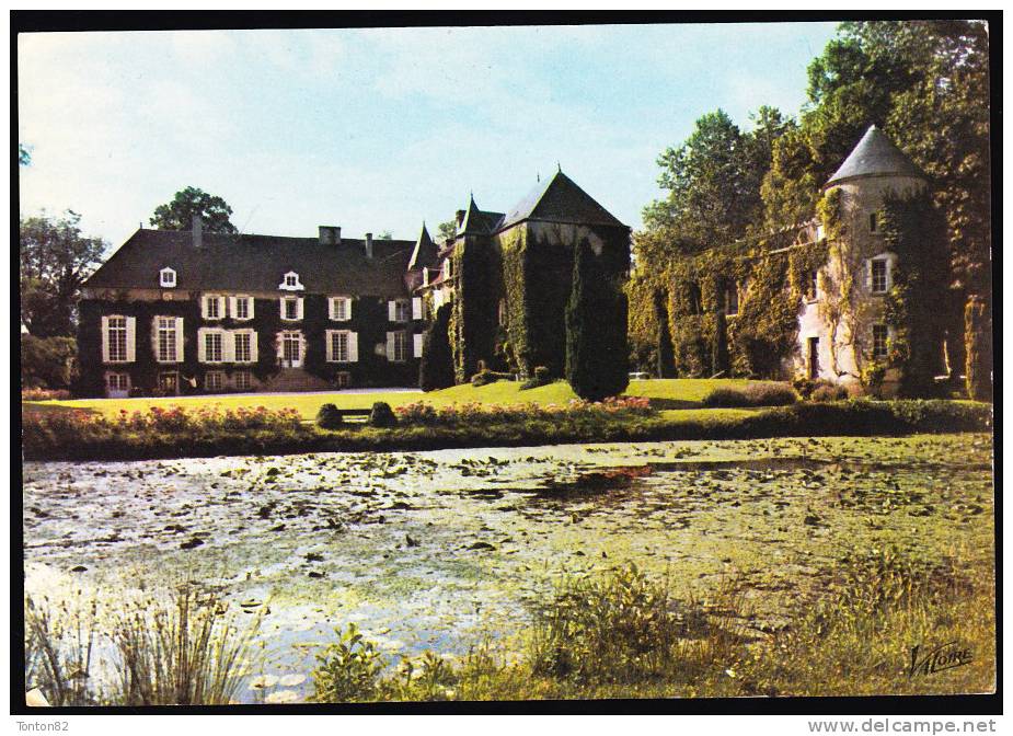 Bleneau - Le Château - Bleneau