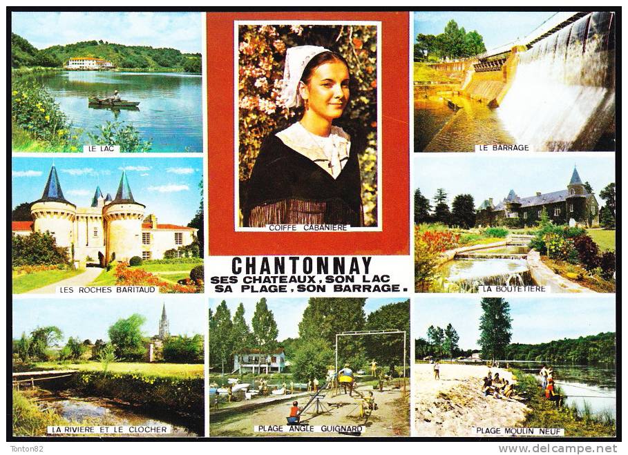 Chantonnay - Multi Vues - Chantonnay