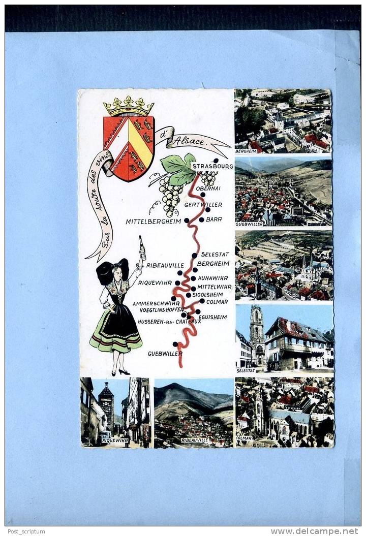Alsace Multivue : Sur La Route Des Vins D'Alsace : Bergheim - Guebwiller - Selestat - Colmar - Ribeauvillé - Riquewihr - Alsace
