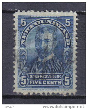 AP420 - TERRANOVA NEWFOUNDLAND : 5 Cent N 70  Used - 1865-1902