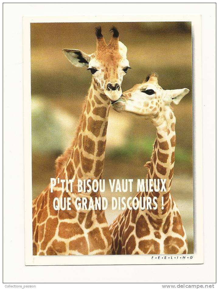 Cp, Girafes, P´tit Bisou Vaut Mieux Que Grand Discours, écrite - Jirafas